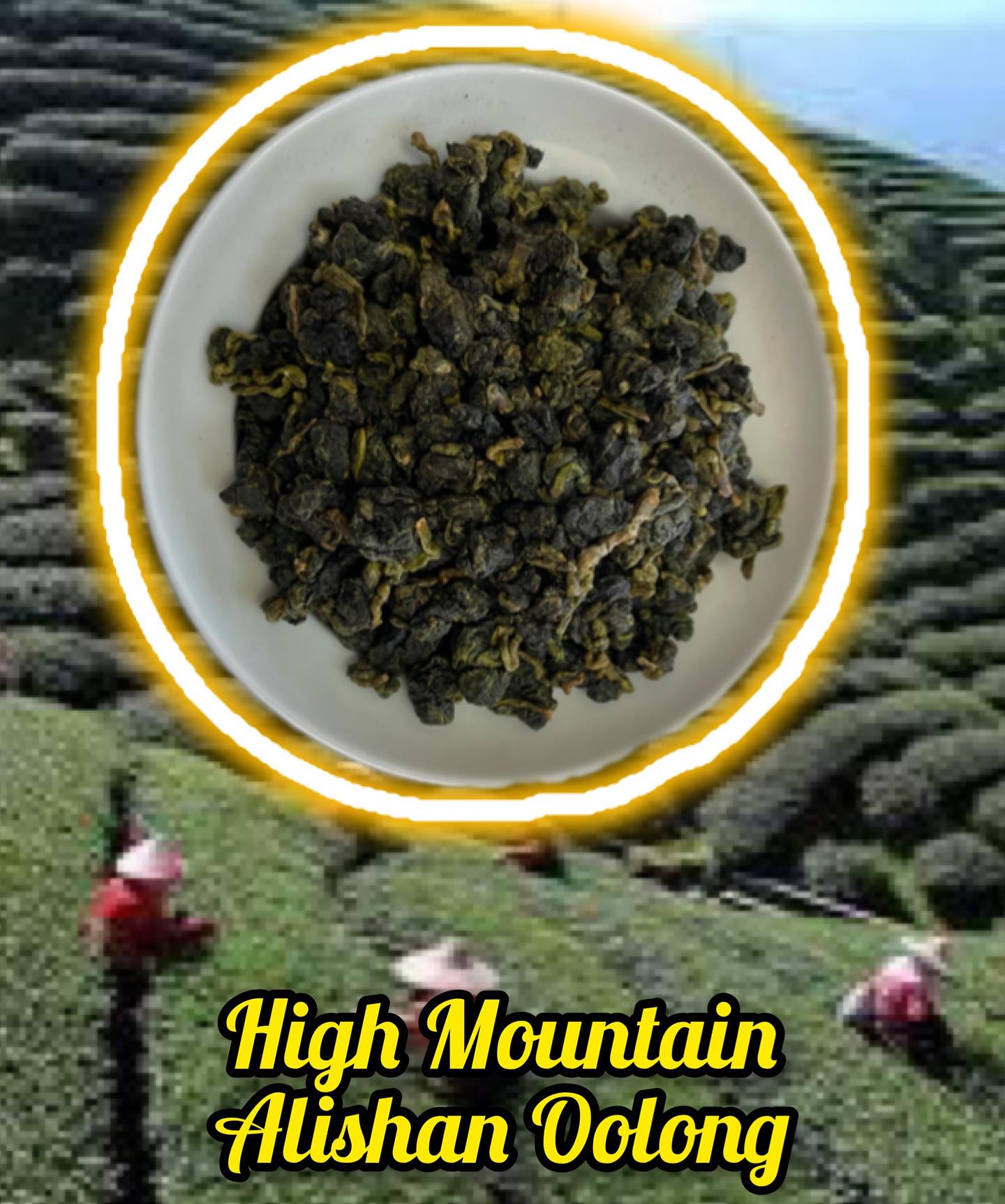 Get ALISHAN ORGANIC CENTER High Mountain Oolong Tea 3g*5pcs 36 g