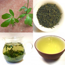 Load image into Gallery viewer, Organic Gynostemma