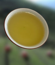 High Mountain Alishan Oolong